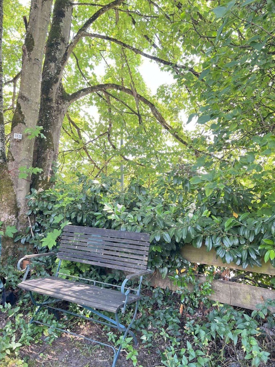 Klasse Grundst�ck Reihenendhaus Waldshut-Tiengen