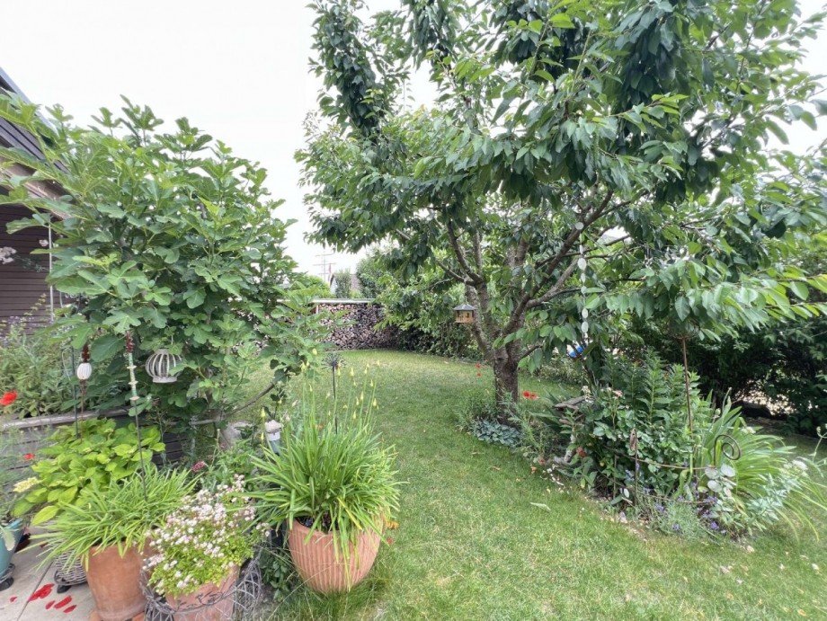 Garten Einfamilienhaus Waldshut-Tiengen
