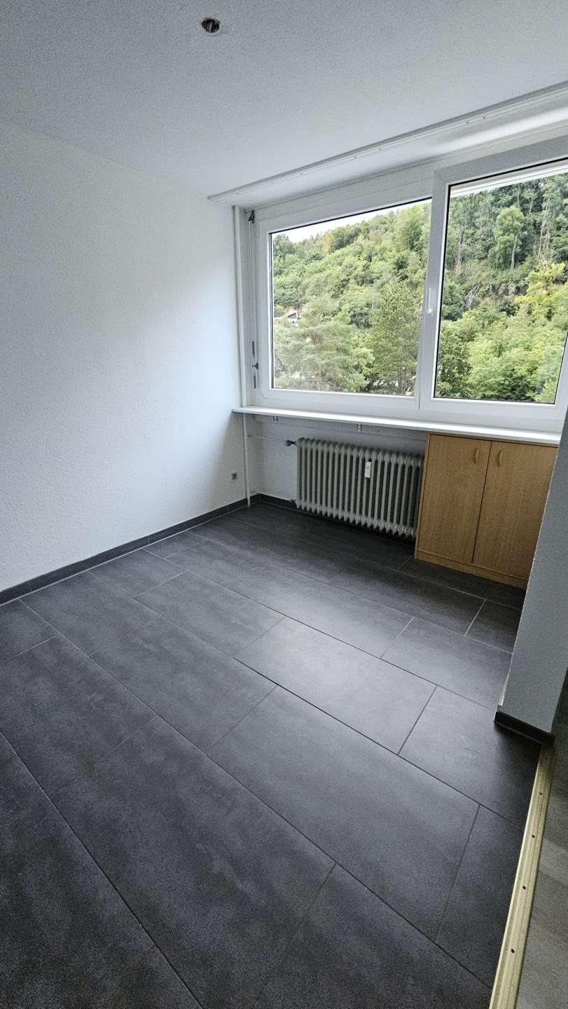 50138 vom Eigent�mer (3) Etagenwohnung Grenzach-Wyhlen