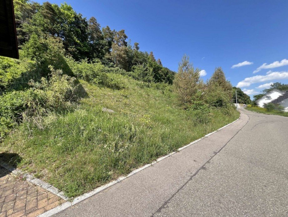Bauplatz Einfamilienhaus 1095m� Wohngrundst�ck St�hlingen