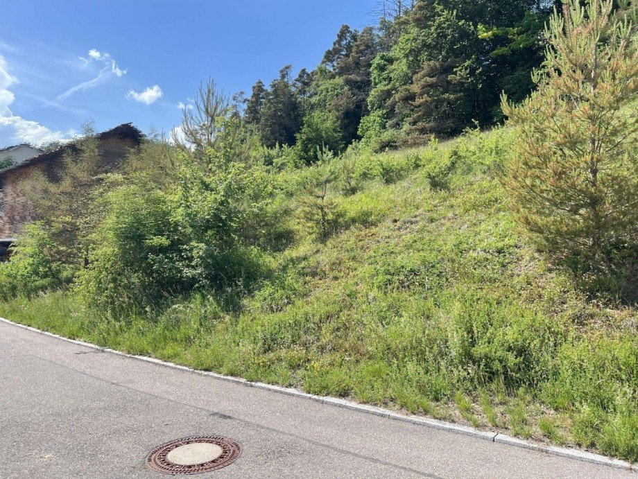 Bauplatz Einfamilienhaus 1095m� Wohngrundst�ck St�hlingen