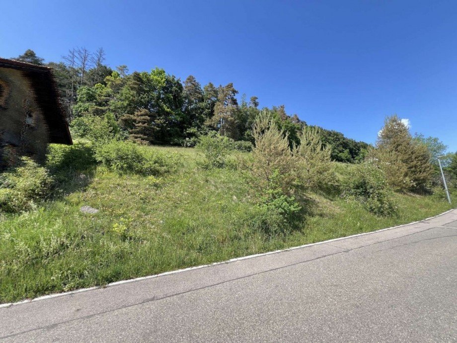 Bauplatz Einfamilienhaus 1095m� Wohngrundst�ck St�hlingen
