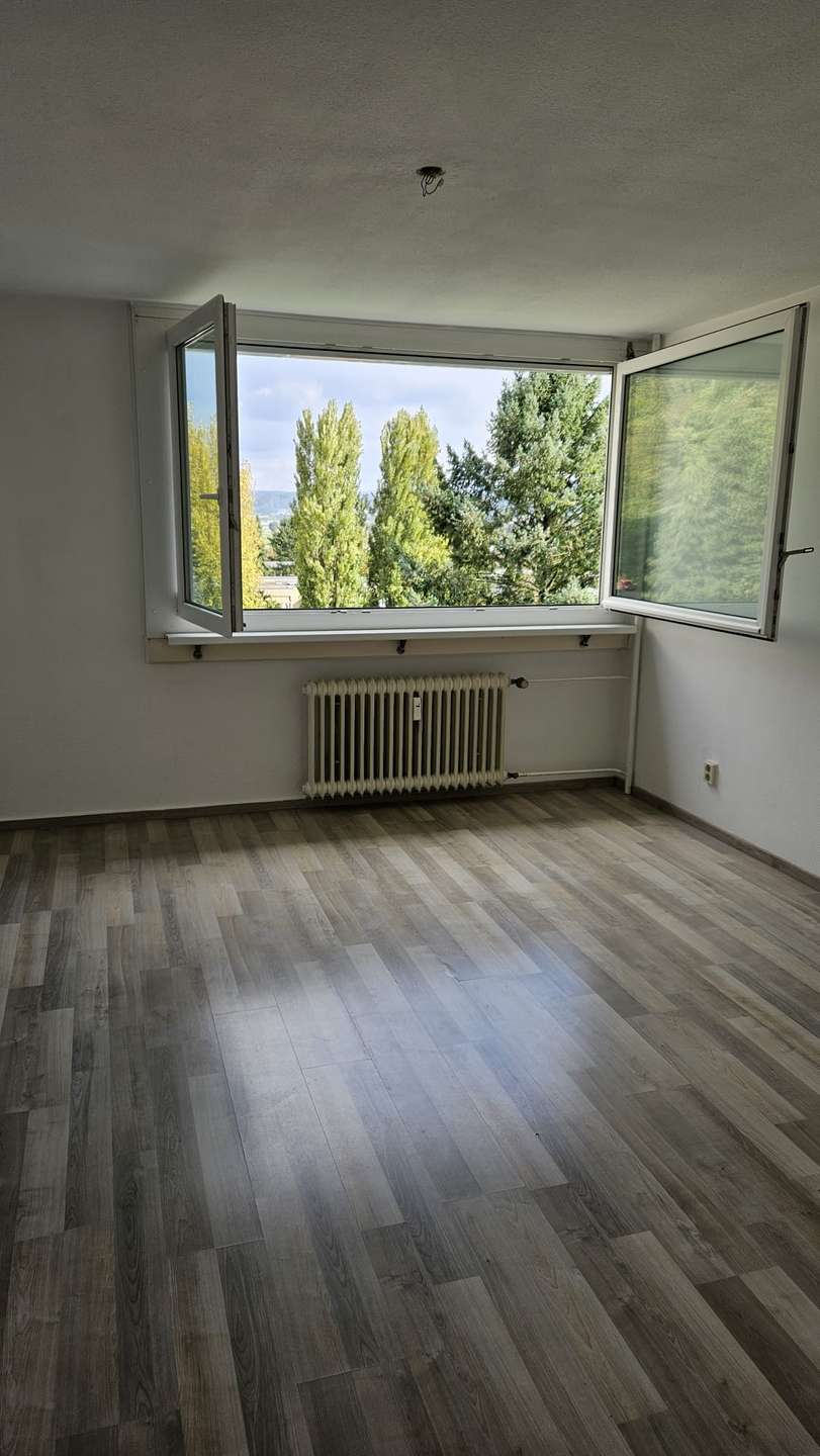 50138 vom Eigent�mer (2) Etagenwohnung Grenzach-Wyhlen