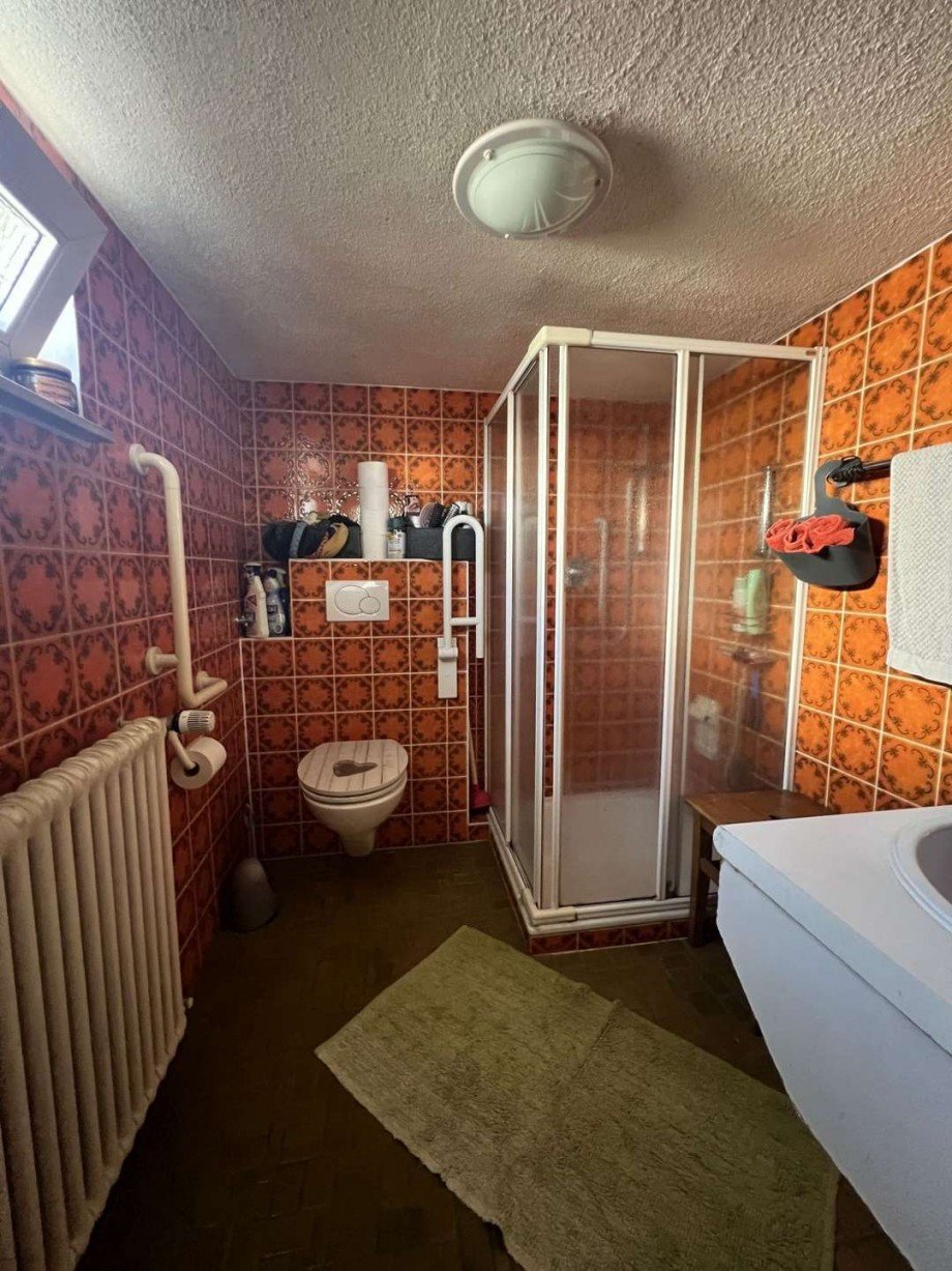 Dusche / WC im Untergeschoss Doppelhaush�lfte Wut�schingen