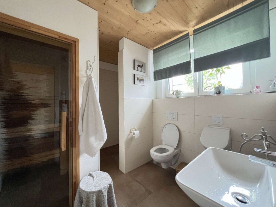 EG zweites Badezimmer mit Dusche und Sauna Einfamilienhaus Waldshut-Tiengen