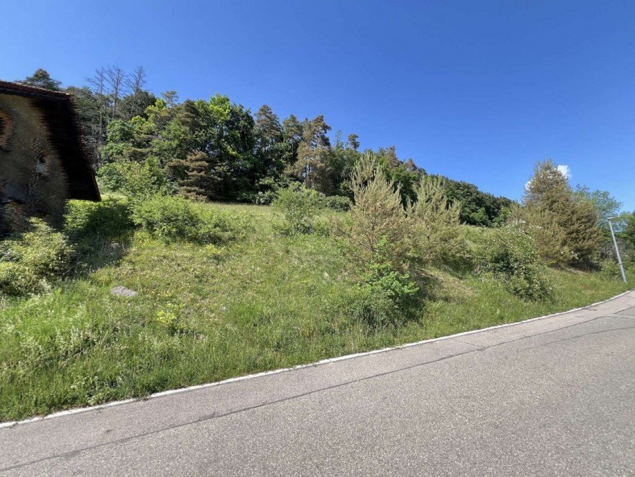 Bauplatz EFH Wohngrundst�ck St�hlingen